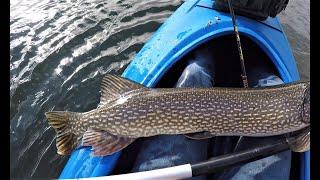 BIG Northern Pike Caught from a Kayak - Late Fall Fishing in the Cold