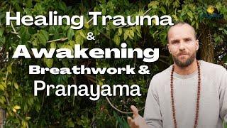 Breathwork, healing trauma and awakening | Michael Bijker - Roy Coughlan