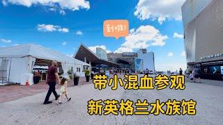 美国波士顿，参观了新英格兰水族馆，娃说想存钱开一家！