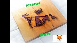 Fox Alien Reizer Laser Engraver