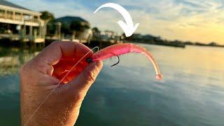 THIS Is How I Catch FLOUNDER Around Suburban Docks With Artificial Lures.