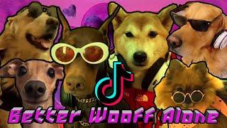Alice Deejay - Better Wooff Alone - Funny Dogs barking to TikTok song