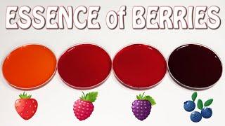 How to make Essence of Berries - Clear and Natural Intense Flavour from Berries