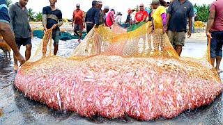 Unbelievable!! Amazing fishing fish in net || million 10k of fish catch  never seen that you before