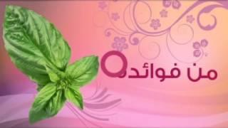 MOA - جمالك أنت - النعناع