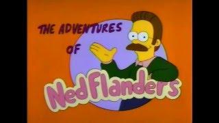 The Adventures Of Ned Flanders (The Simpsons)