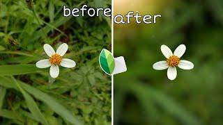 How to Blur Background with Snapseed || Snapseed Malayalam Tutorial | Alphin Vimal