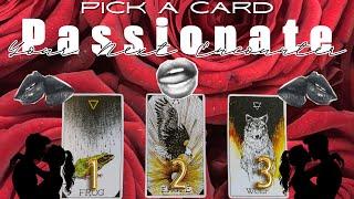 18+ Your Next Passionate Encounter Reading In-Depth Details 🫦Pick A Card