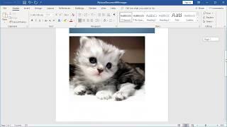 Extracting images from a document using Aspose.Words Cloud API (C#)