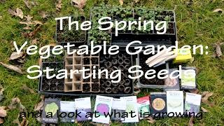 The Spring Vegetable Garden: Starting Seeds