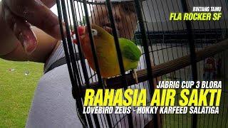 JABRIG CUP 3 #3 : Welcome Back ARNOLD - RAHASIA AIR SAKTI Lovebird ZEUS Konslet Durasi Panjang