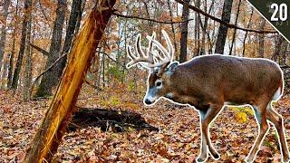 BOW HUNTING RUT FUNNELS!! - (Missouri and Iowa Public Land)