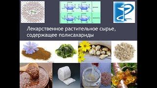 Лекарственное растительное сырье, содержащее полисахариды