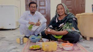 Mama Jii Gaon Se Gher Wapis Aa Gain | Aun Saeed Family Vlogs