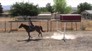 A Schuerr Thing Horse Training - Kingman, Arizona - Kassie Schuerr, Owner/Trainer