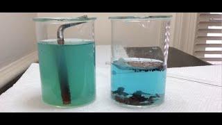 Oxidation-Reduction (Redox) DIY Home Experiment