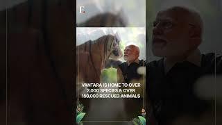 PM Modi Inaugurates Wildlife Centre at Vantara in Gujarat | Subscribe to Firstpost | N18G