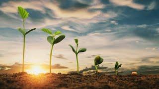 Agriculture Stock Footage - Agriculture Free Stock Videos - Agriculture No Copyright Videos