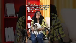 mitos atau fakta kucing takut timun? #kucing #perawatankucing #faktakucing