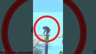 Chimp Throws Potty at Tourists  #shorts #animals #chimpanzee