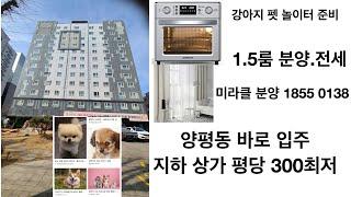 펫 오피스텔 양평동 펫 전문 오피스텔 1.5룸 보세요 선물 2종 지하 상가 평당 300 까지