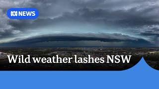 Wild weather leaves one dead, thousands without power in NSW | ABC News