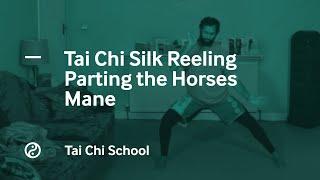 Silk Reeling | Chen Tai Chi Xin Jia | Parting the Horses Mane