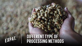 Different Type of Processing Methods (Natural, Honey, Full Washed & Wet Hulled)?  -  Expat. Roasters