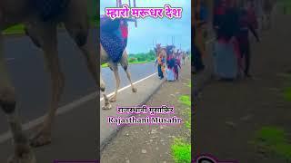 बन्ना अधर अधर पग मेलो ओ, #shortsfeed #trending #short #viral #shorts #song #youtube