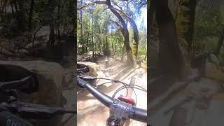 STEEP off-cambered Rock Slab  #mtblife