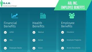 AOL Inc Employee Benefits | Benefit Overview Summary