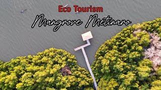 Drone Footage Eco Turismo Mangrove Metinaro || Timor-Leste