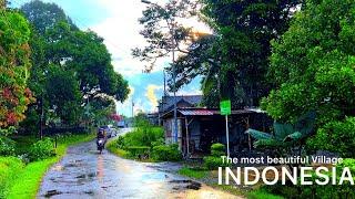 Virtual walking in Indonesian Village||the most beautiful Village in Indonesia