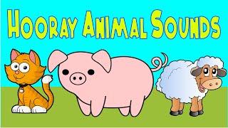 Hooray Animal Sounds | Nursery Rhymes | LittleKidsTV