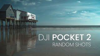 DJI Pocket 2 | Random Shots | Cinematic |  4K