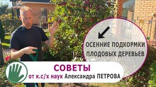 Видео журнал "СОФ №133" ОСЕННИЕ подкормки плодовых деревьев. СОВЕТЫ от Александра ПЕТРОВА