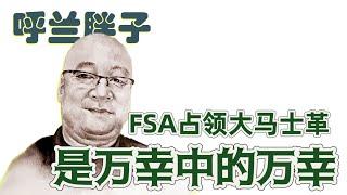 呼兰胖子：FSA占领大马士革是万幸中的万幸