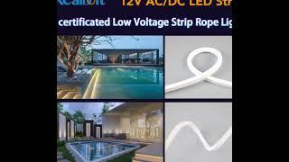 Realdo, with 15 years of experience in landscape lighting, new 12VAC/DC waterproof light strip.