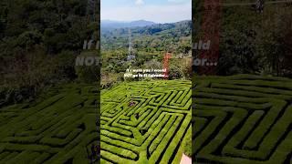 DO NOT go to El Salvador  ….. Without visiting Juayua of course! #juayua #elsalvador #vacation