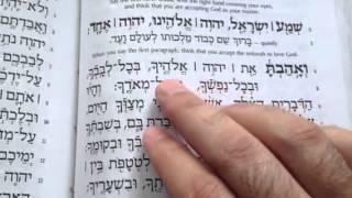 Practice reading the Shema.