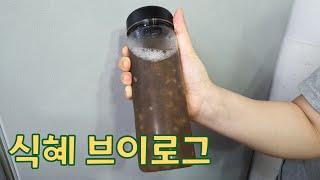 식혜 브이로그 #설날 #설준비 #식혜 #엿기름 #산골감나무집
