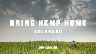 Bring Hemp Home | Colorado