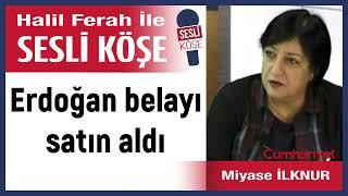 Miyase İlknur: 'Erdoğan belayı satın aldı' 23/11/24 Halil Ferah ile Sesli Köşe