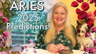 ARIES - OMG, YOU DO NOT WANT TO MISS THIS! 12 Month DETAILED Predictions! WILD RIDE 2025!