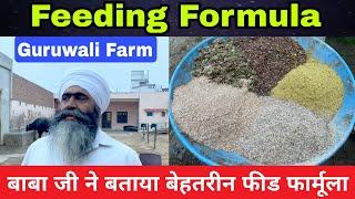 शानदार फीड Amazing feeding formula - Baba Ji ने बताया अपने पशुओं की डाइट का राज - Guruwali Farm