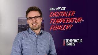 Digitaler vs. analoger Temperatursensor | grober Überblick | Temperatur Profis