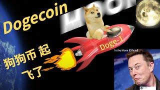 SNL之后 狗狗币起飞了 SpaceX launching satellite Doge-1 to the moon next year