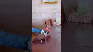 New Funny Videos 2021, Chinese Funny Video try not to laugh #short P1545