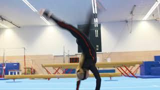 Xsens Motion Capture Challenge - (Artistic) Gymnastics