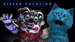 ФНАФ СИСТЕР ЛОКЕЙШН #1 Немного ЖУТКОВАТО КОТЁНОК ЛАЙК Five Nights at Freddy's: Sister Location